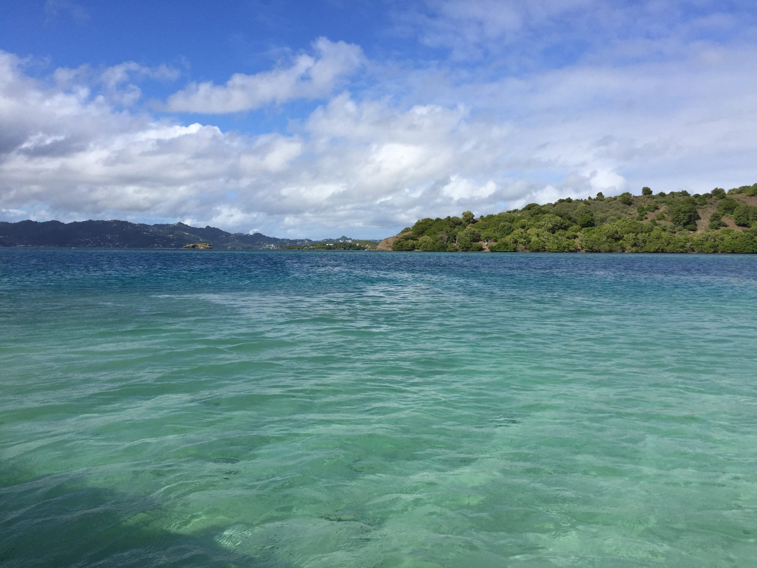 rencontre antillaise bordeaux